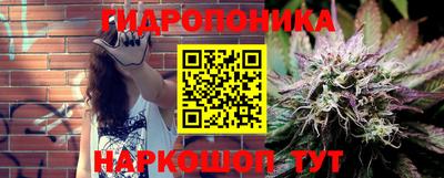 индика Пыть-Ях