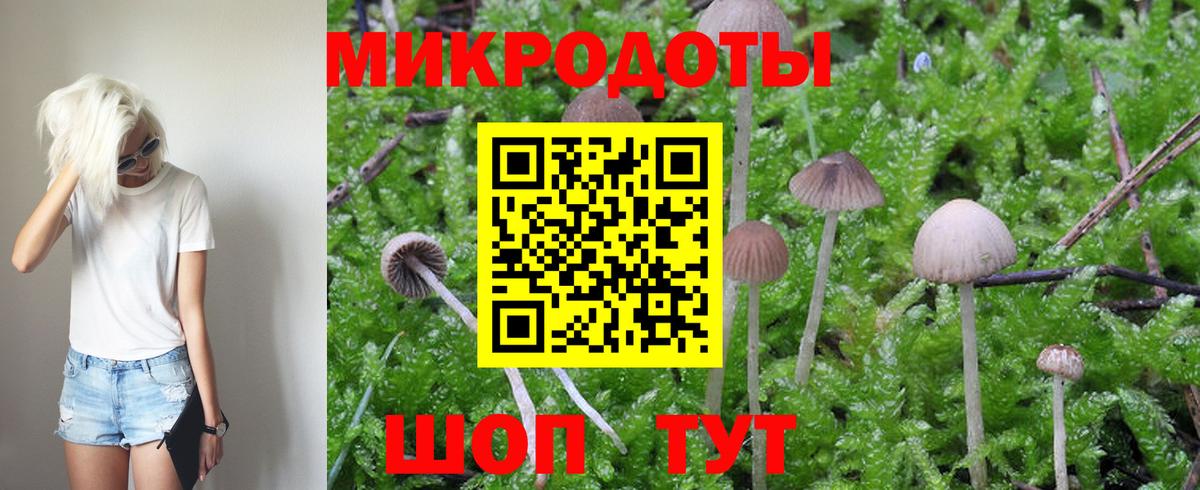 Галлюциногенные грибы мицелий Реутов